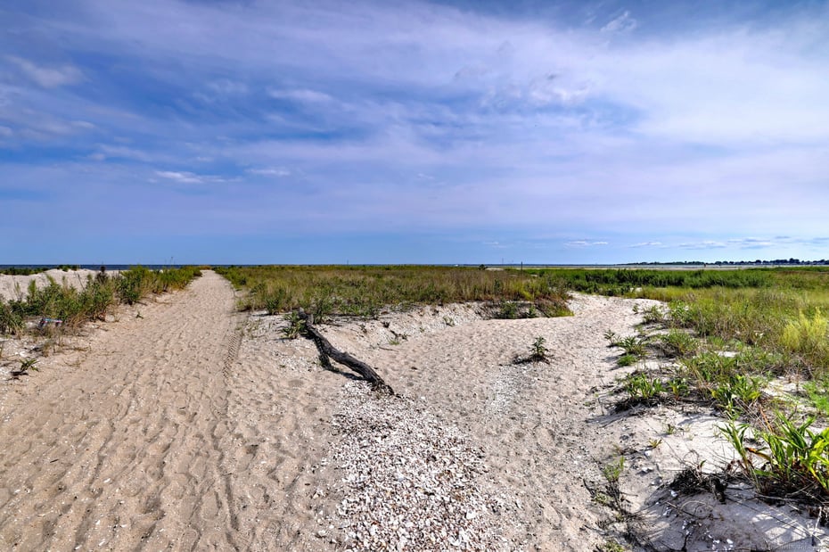 3 Francis Street Photo 4