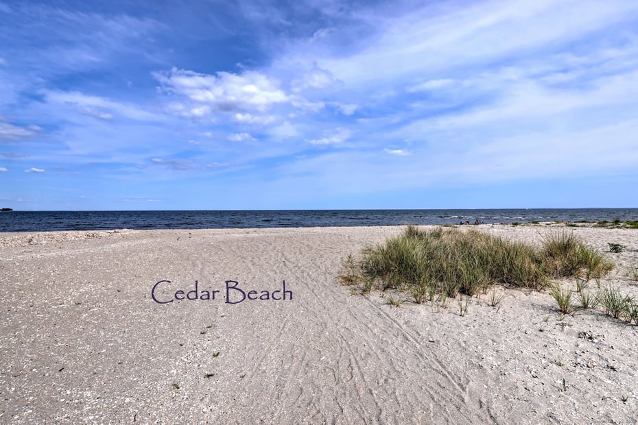 3 Francis Street Photo 31