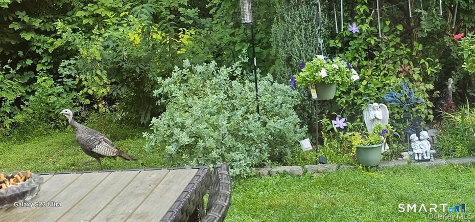 53 Jefferson Oval  #B Photo 17