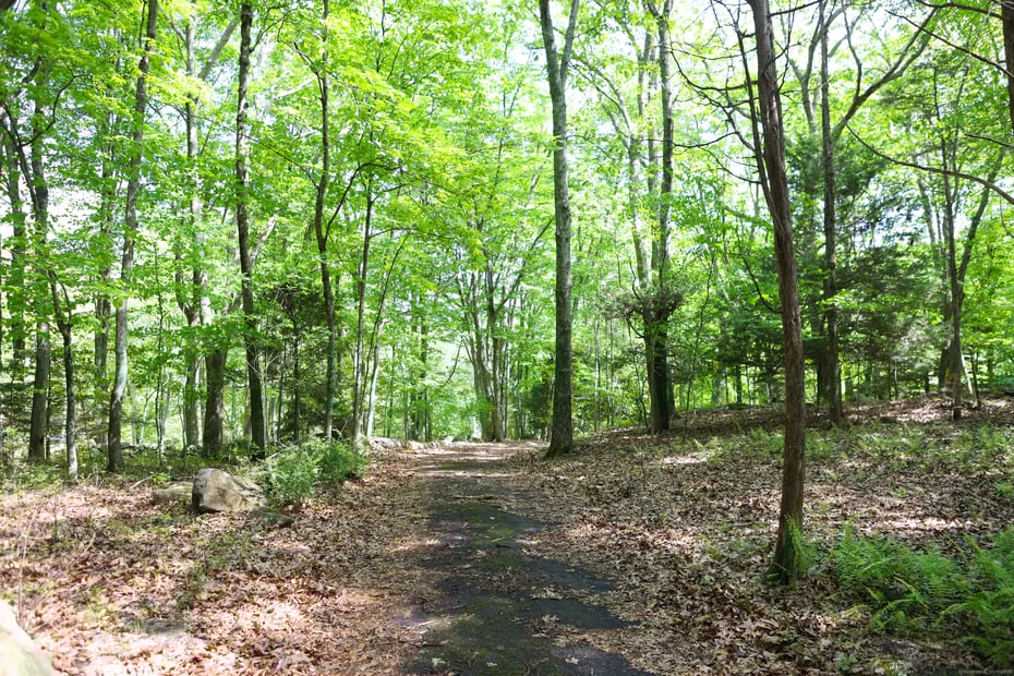 134 Meadow Woods Road Photo 10