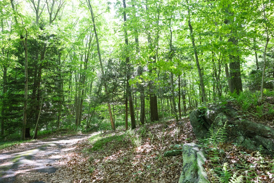 134 Meadow Woods Road Photo 11