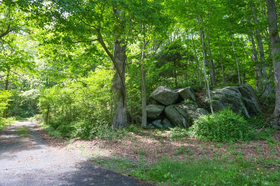 134 Meadow Woods Road Photo 13