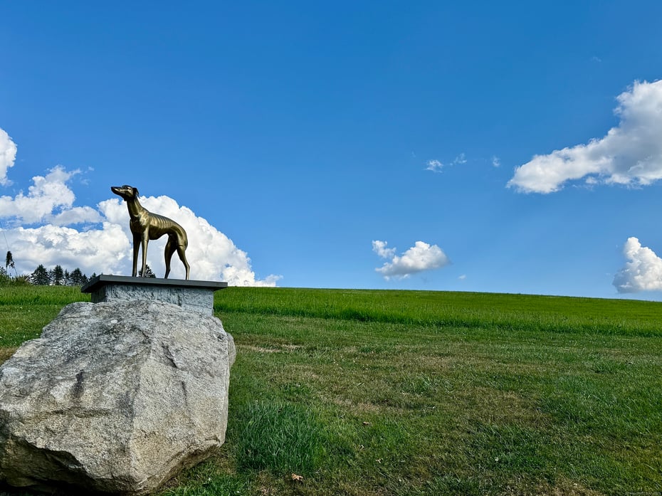 182 Magnolia Hill Road Photo 5