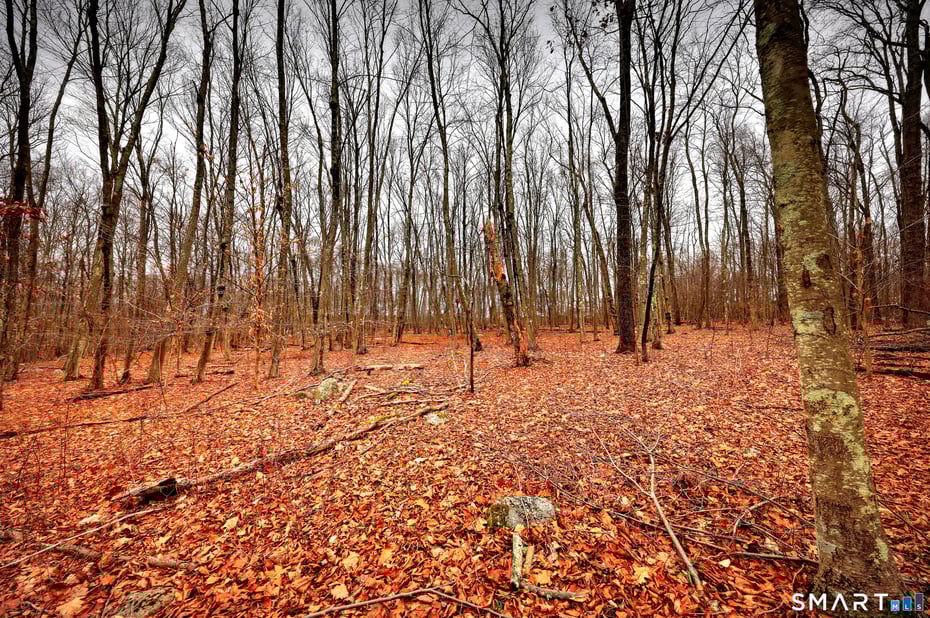 275 Hammertown Road Photo 13