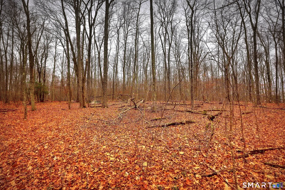 275 Hammertown Road Photo 14