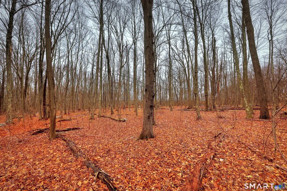 275 Hammertown Road Photo 15