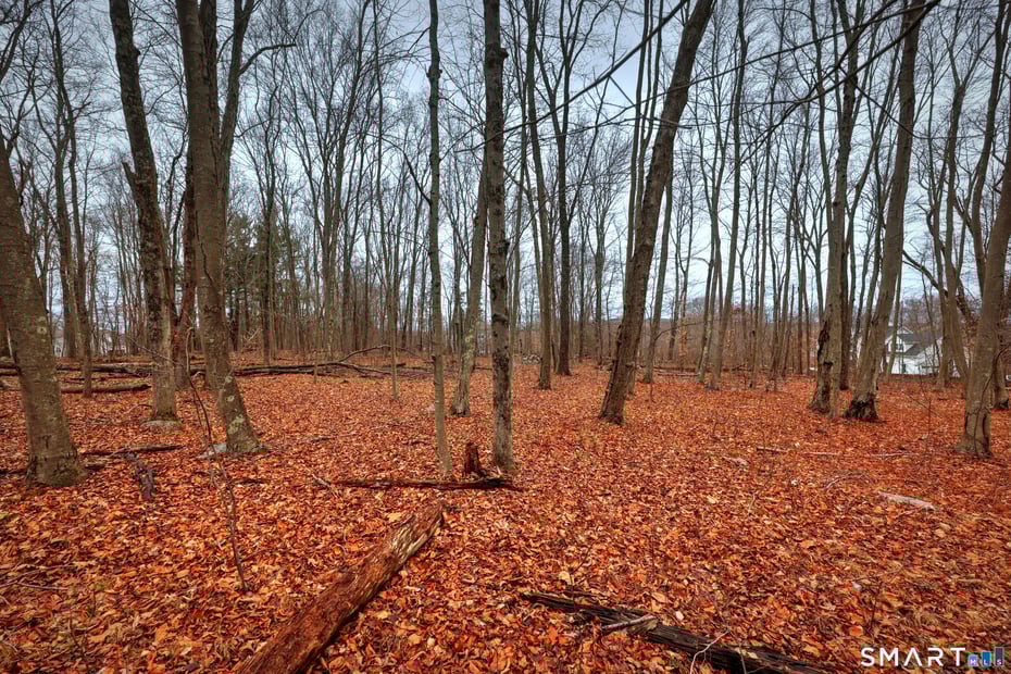 275 Hammertown Road Photo 16