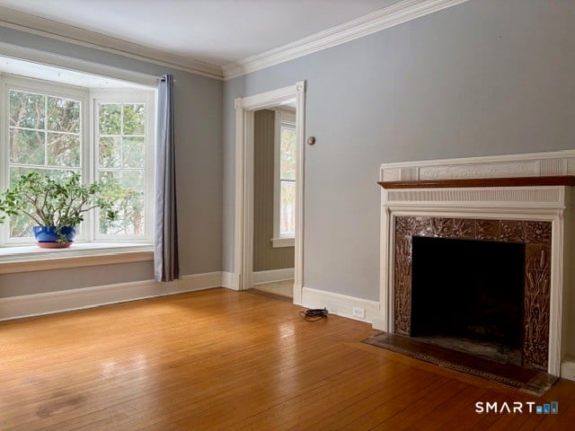 41 Maple Avenue Photo 1