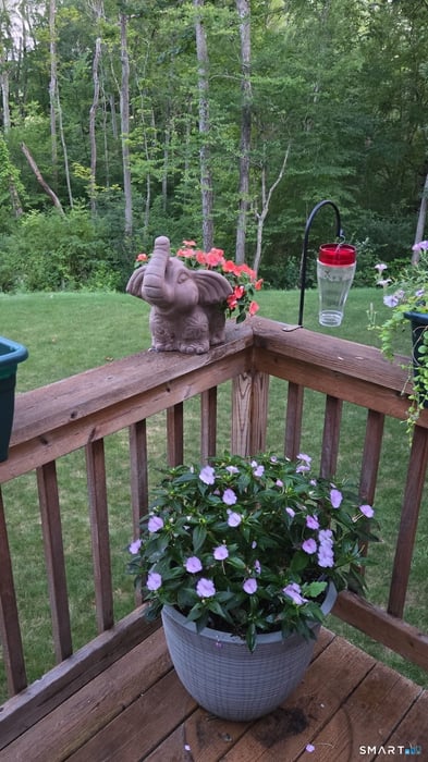 167 Round Hill Road Photo 7