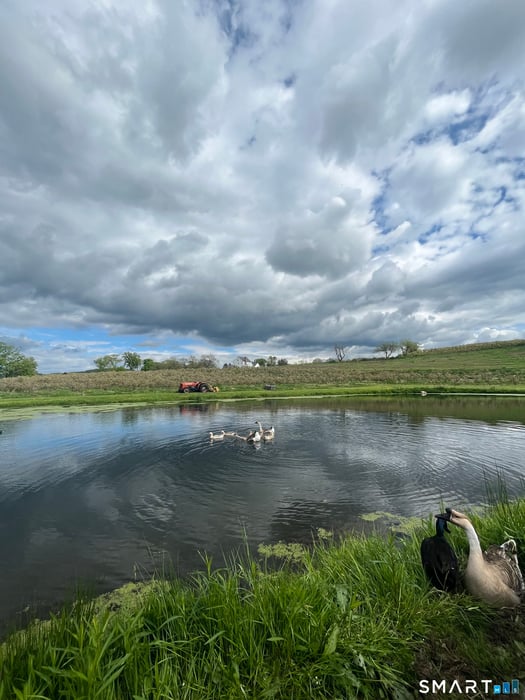 280-300 Matson Hill Road Photo 10