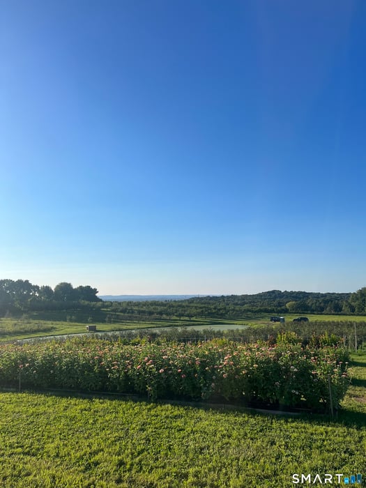 280-300 Matson Hill Road Photo 15