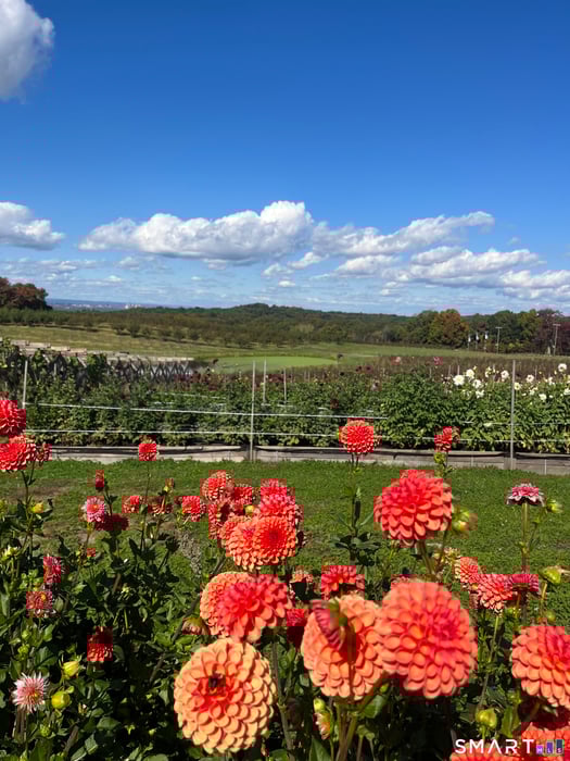 280-300 Matson Hill Road Photo 17