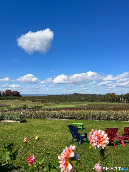 280-300 Matson Hill Road Photo 18