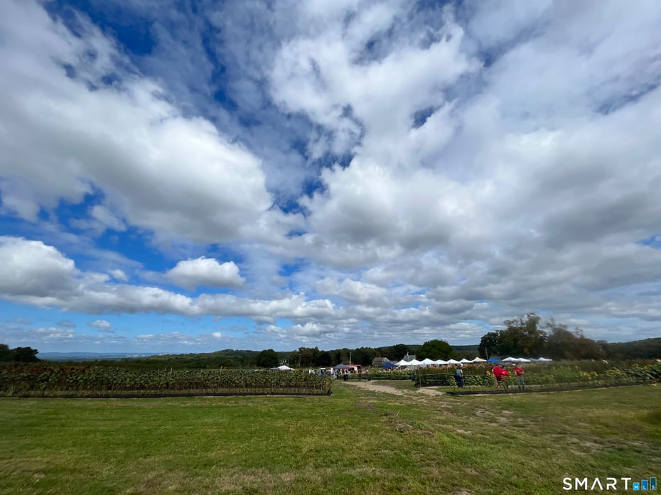 280-300 Matson Hill Road Photo 20