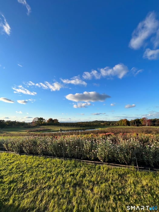 280-300 Matson Hill Road Photo 23