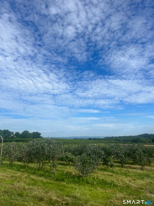 280-300 Matson Hill Road Photo 27