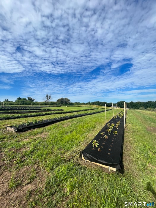 280-300 Matson Hill Road Photo 28