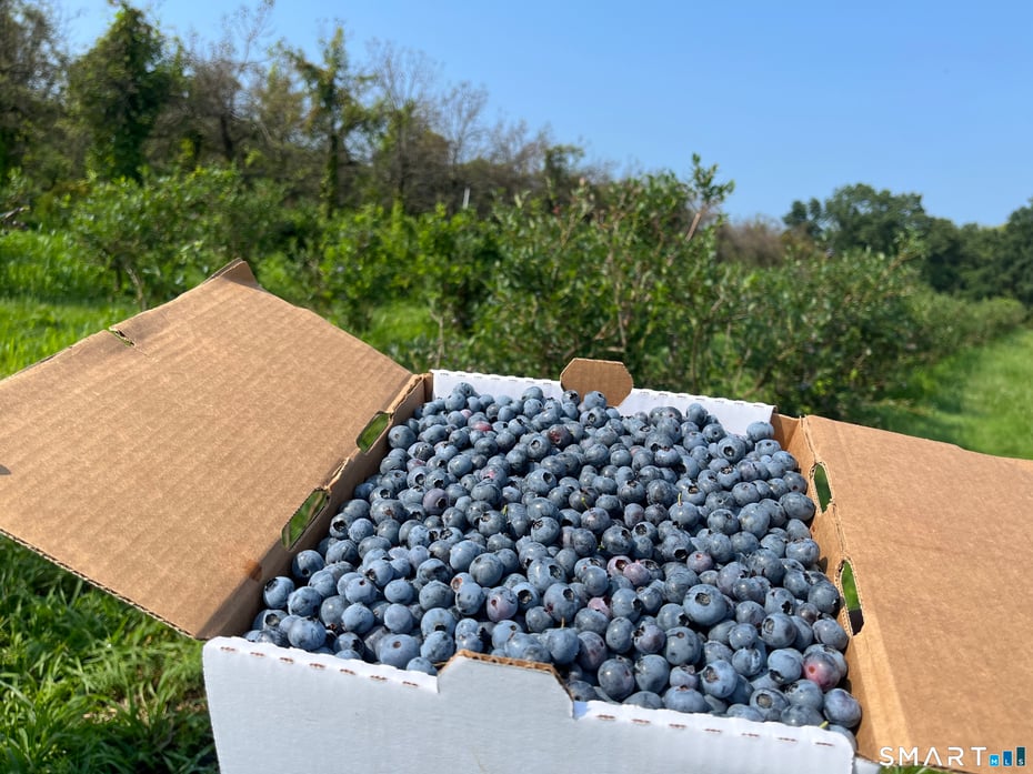 280-300 Matson Hill Road Photo 34