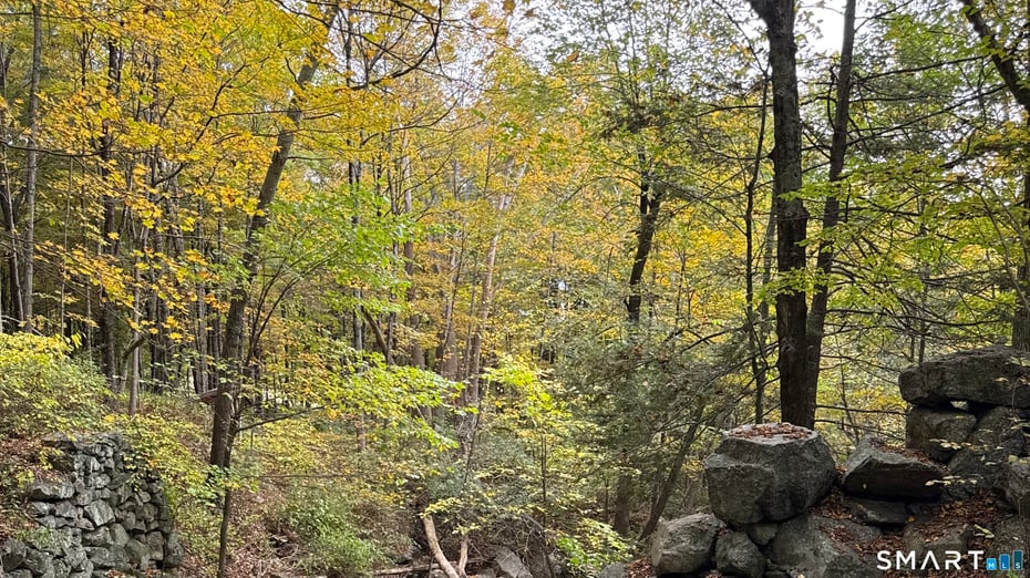 11 Orchard Hill Road Photo 18