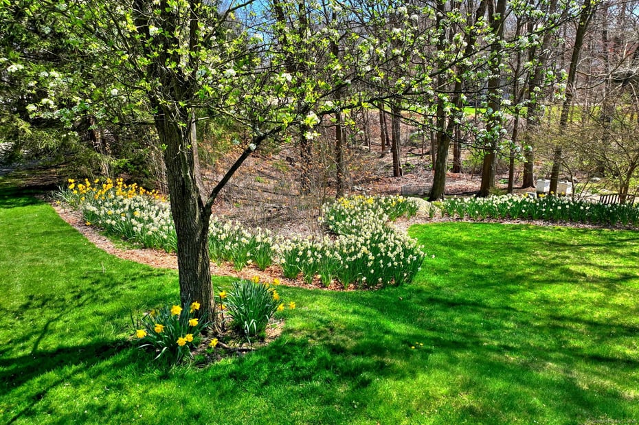 920 Green Circle Photo 5