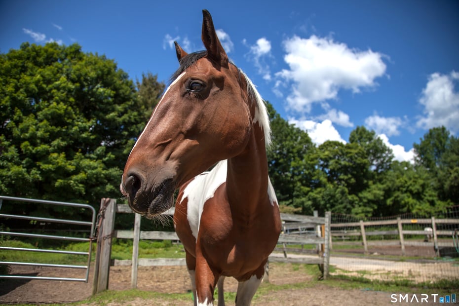 473 Evergreen Road Photo 35