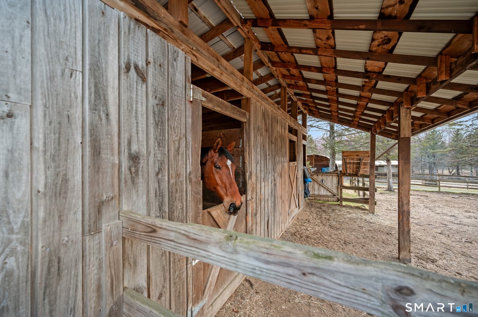 76 Cowles Road Photo 10