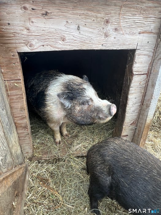 330 Ledge Drive Photo 21