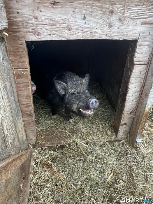 330 Ledge Drive Photo 22