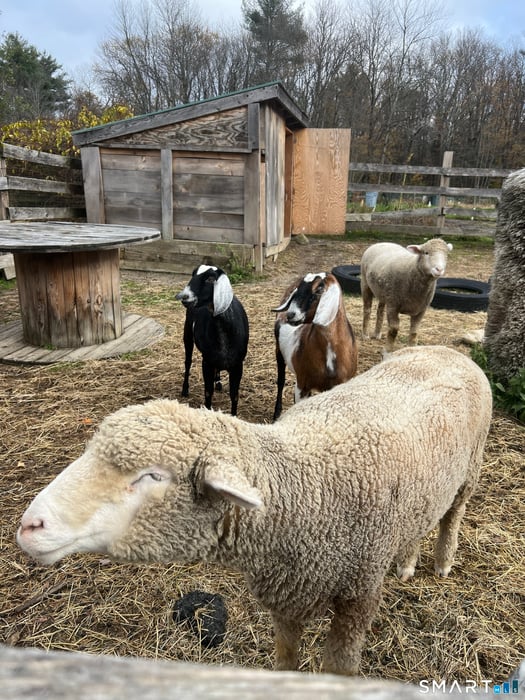 330 Ledge Drive Photo 25