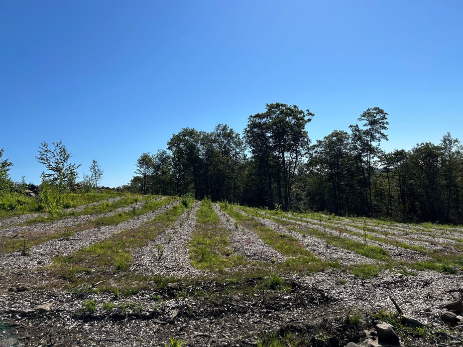 00 Prock Hill Road Photo 3