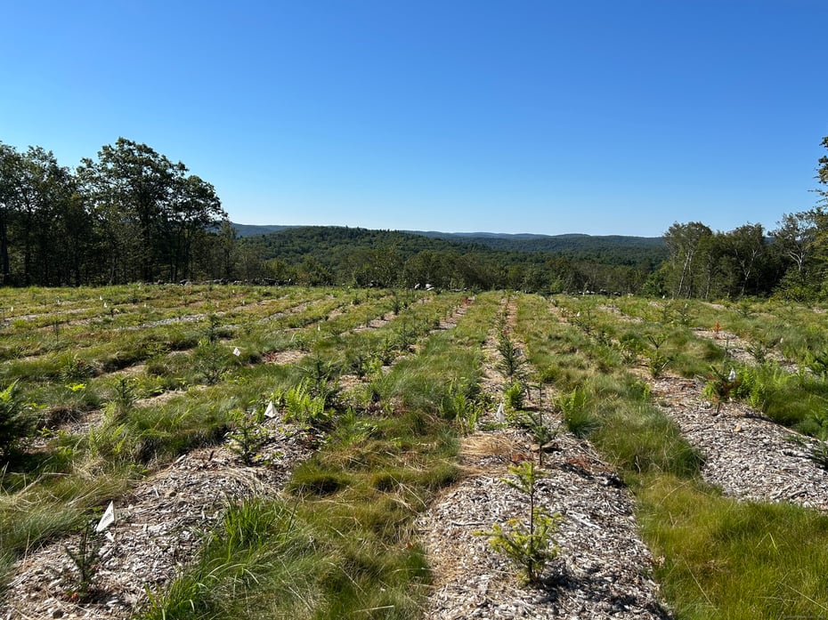 00 Prock Hill Road Photo 6