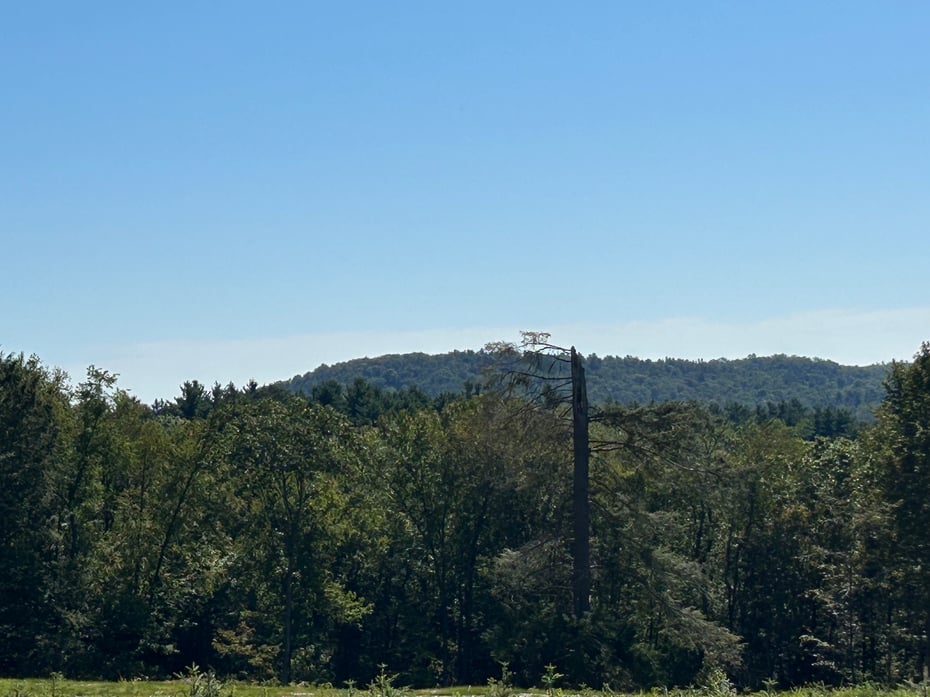 00 Prock Hill Road Photo 10