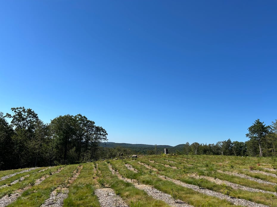 00 Prock Hill Road Photo 13