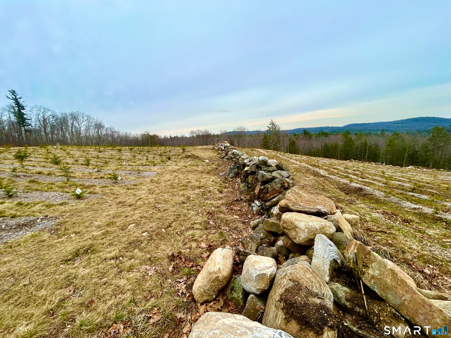 00 Prock Hill Road Photo 21