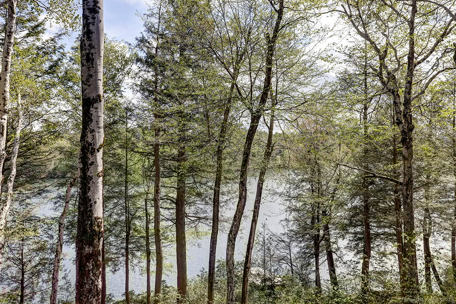 Norfolk Single Family Photo 4