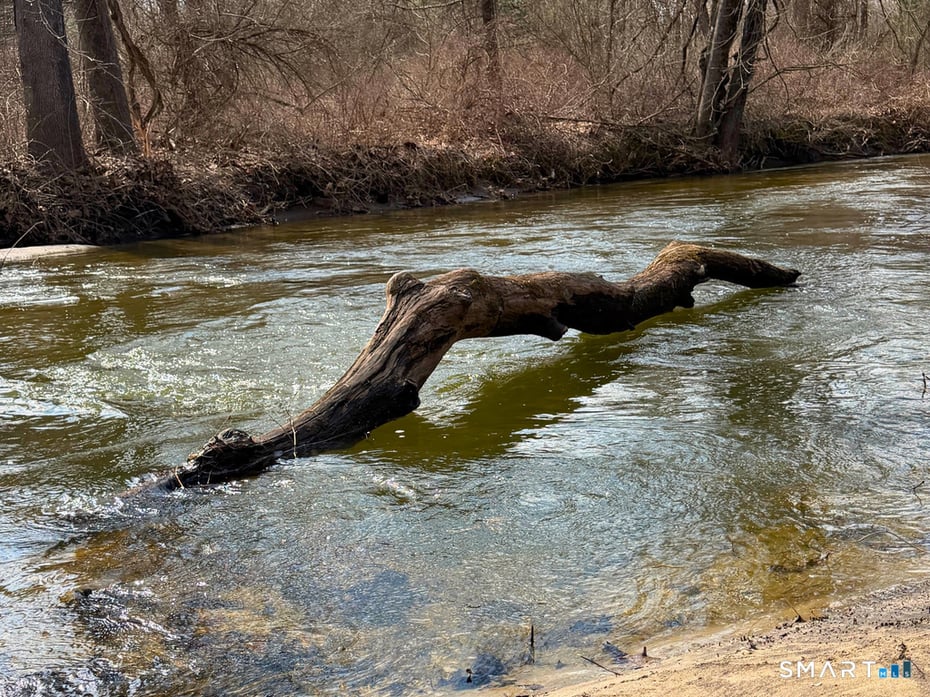 130 Paper Mill Road Photo 17