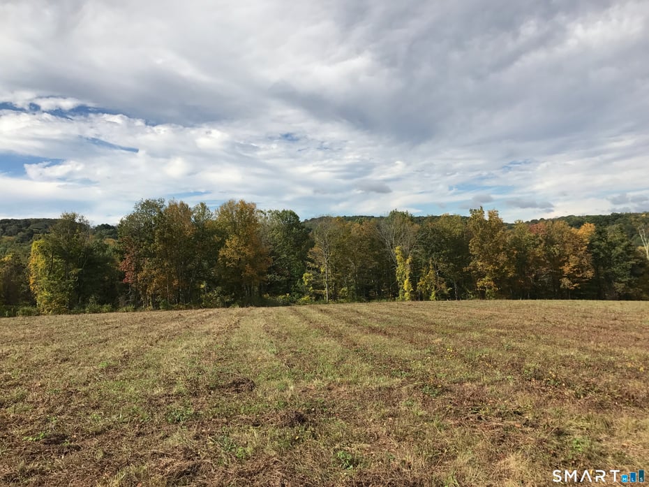 Washington Land Photo 3