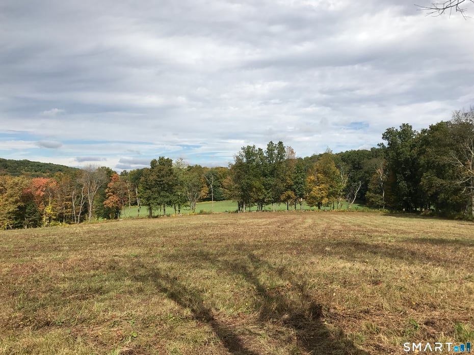 Washington Land Photo 5