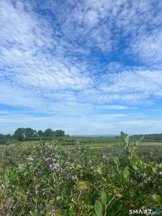 280-300 Matson Hill Road Photo 9