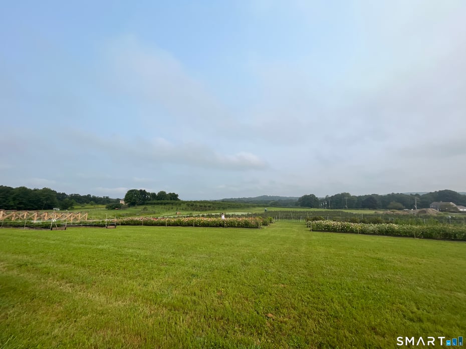 280-300 Matson Hill Road Photo 12