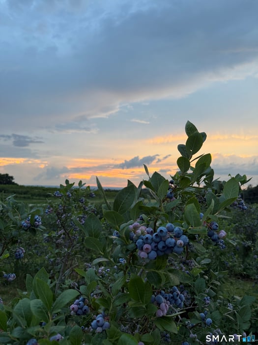 280-300 Matson Hill Road Photo 13