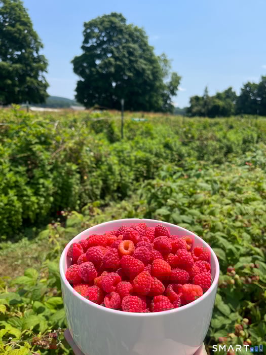 280-300 Matson Hill Road Photo 18