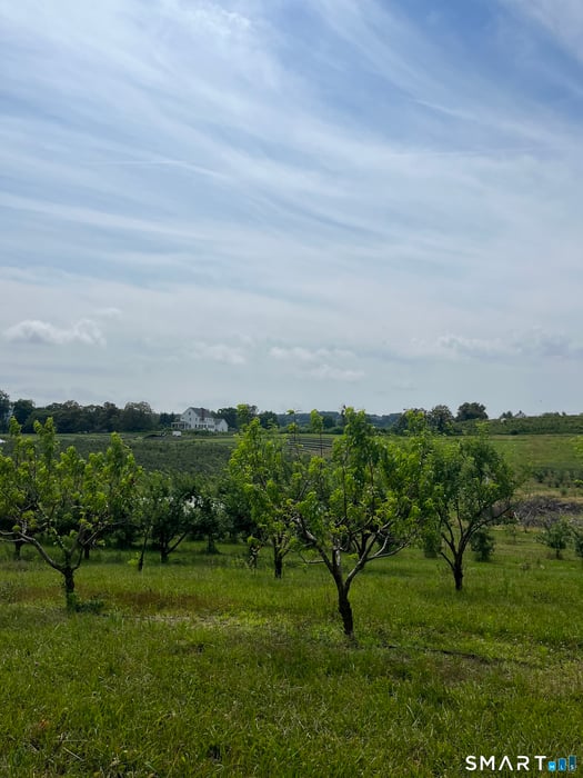 280-300 Matson Hill Road Photo 20