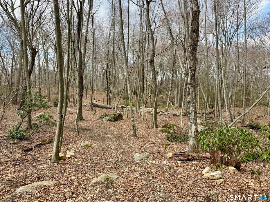 241 Niantic River Road Photo 18