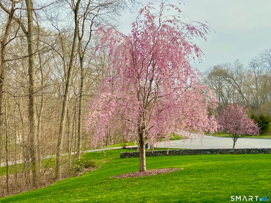 15 Mains Way Photo 33