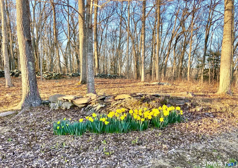 15 Mains Way Photo 34