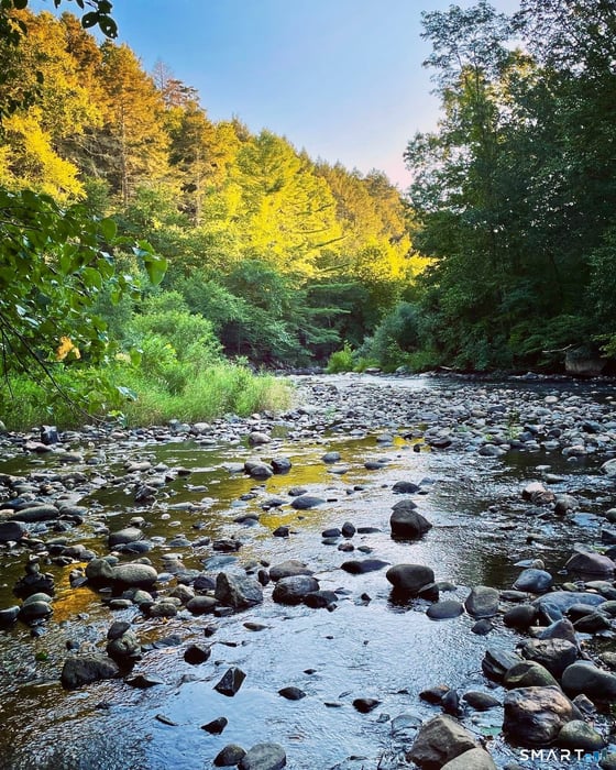 76 Blackville Road Photo 40