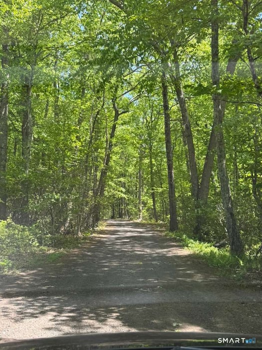 Bunker Hill Road Photo 3