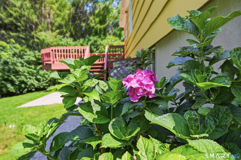 30 Maple Row Photo 29