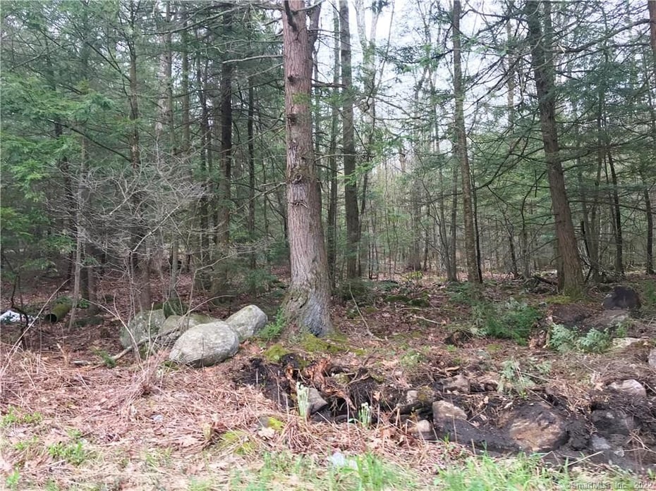 393 Winchester Road Photo 3